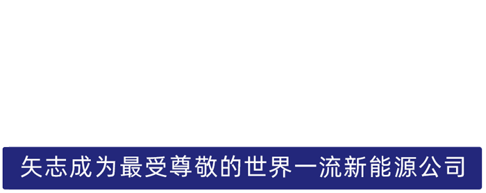 AG尊龙股份